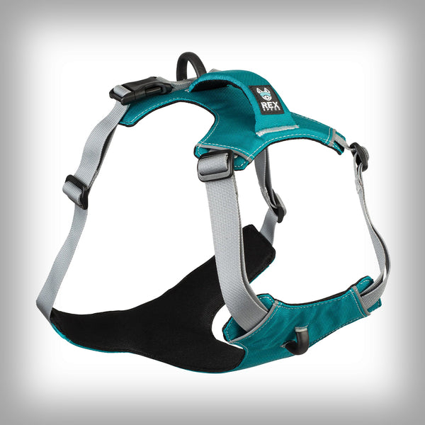 REX SPECS TRAILHEAD GESCHIRR