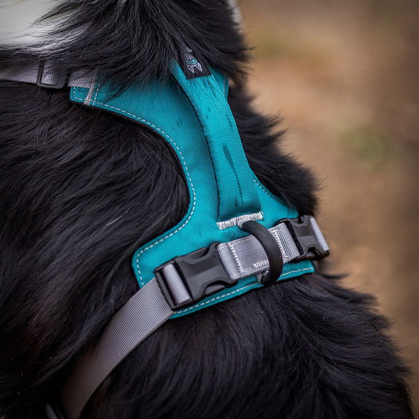 REX SPECS TRAILHEAD GESCHIRR