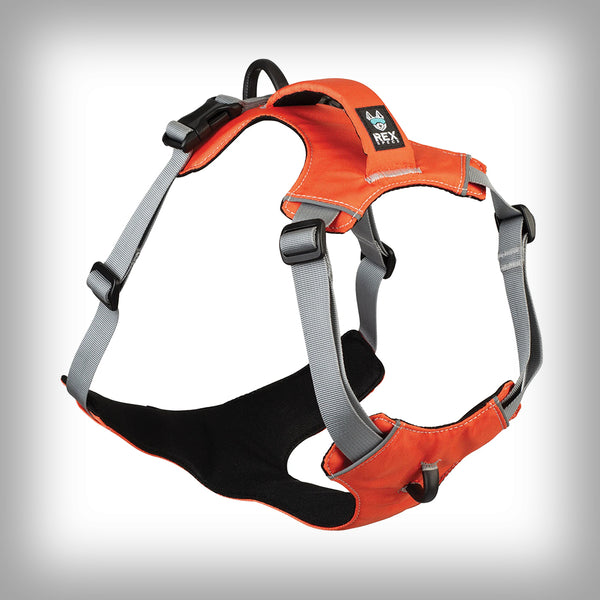 REX SPECS TRAILHEAD GESCHIRR