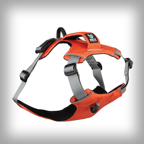 REX SPECS TRAILHEAD GESCHIRR