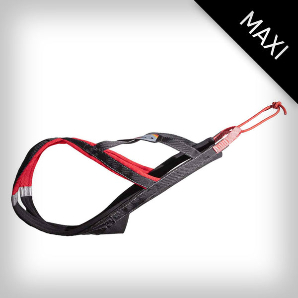 SLEDWORK XBACK ACTIVE G3 MAXI