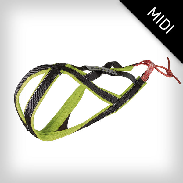 SLEDWORK XBACK ACTIVE G2 MIDI