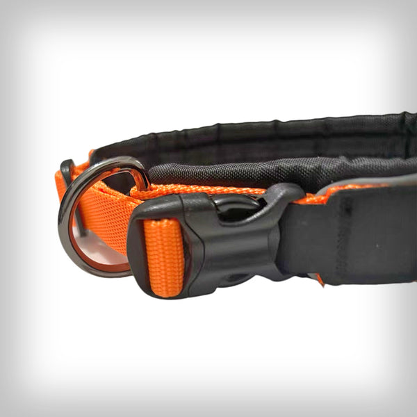 VIP HALSBAND WALKER CLIPS