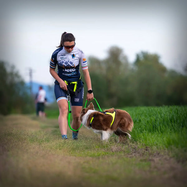 AXAECO GESCHIRR X-RUN