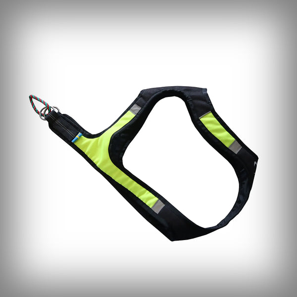 AXAECO GESCHIRR X-RUN