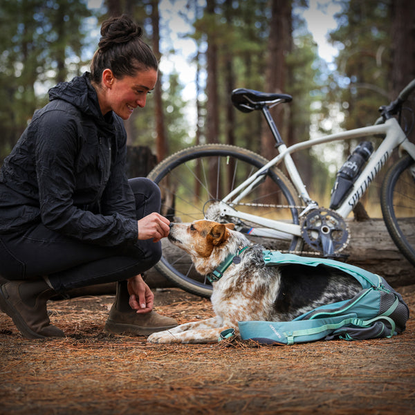 HITCH HIKER™ TRANSPORTRUCKSACK FÜR HUNDE