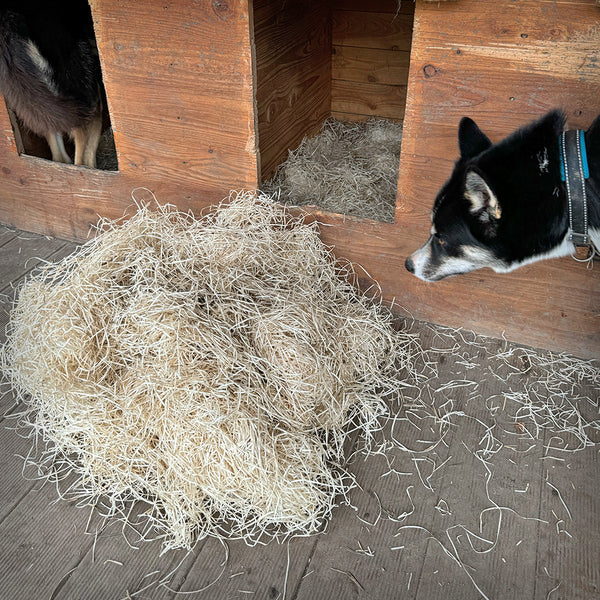 WOODPAW® FÜR HUNDE