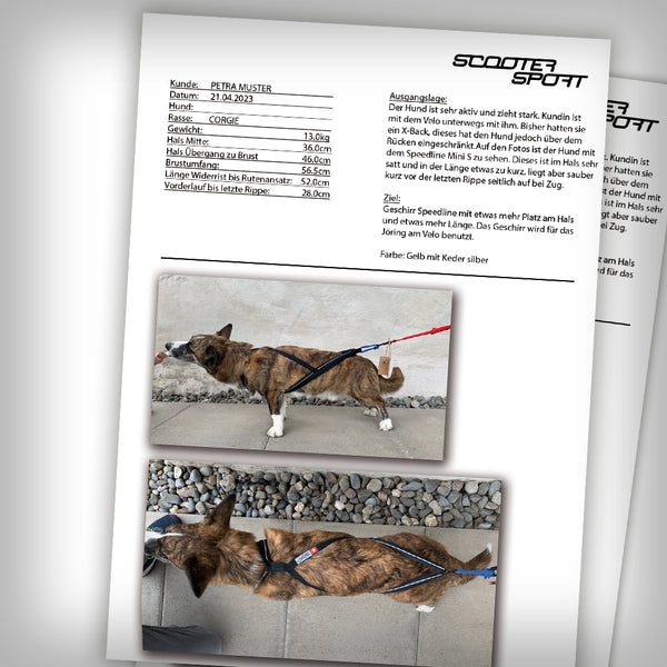 ZUGGESCHIRR SPEED LINE