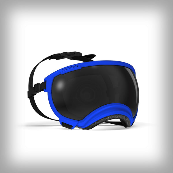 REX SPECS HUNDEBRILLE V2 LARGE