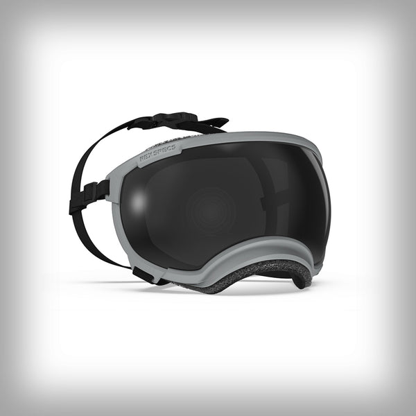 REX SPECS HUNDEBRILLE V2 LARGE