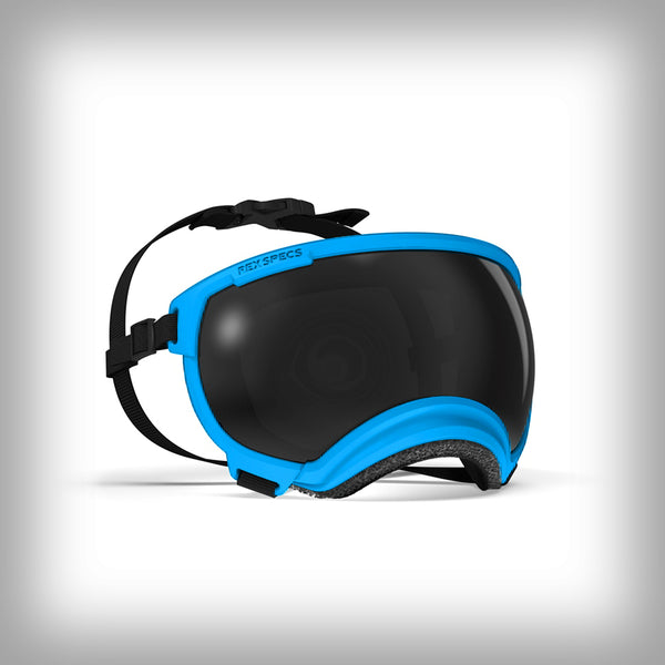 REX SPECS HUNDEBRILLE V2 LARGE