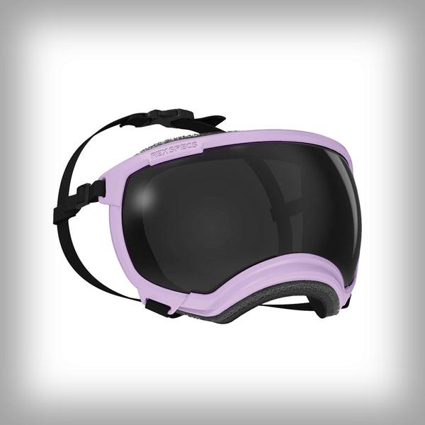 REX SPECS HUNDEBRILLE V2 LARGE