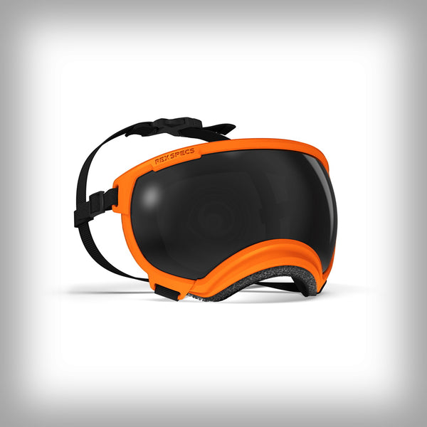 REX SPECS HUNDEBRILLE V2 LARGE