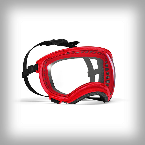 REX SPECS HUNDEBRILLE V2 SMALL