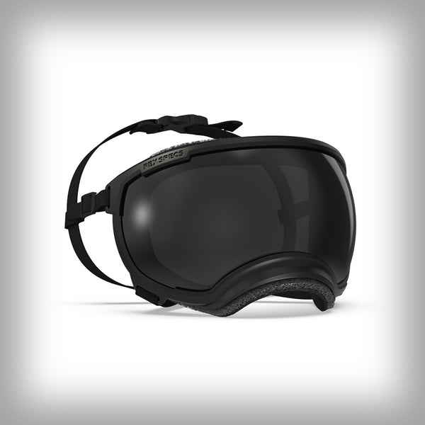 REX SPECS HUNDEBRILLE V2 LARGE