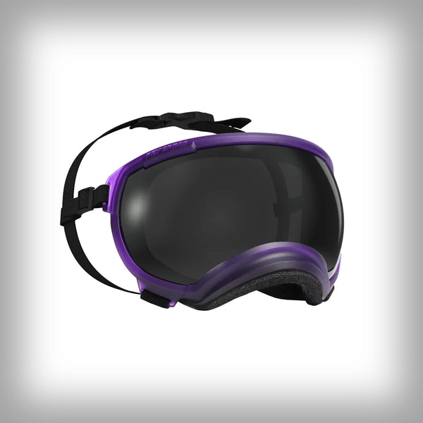 REX SPECS HUNDEBRILLE V2 MEDIUM