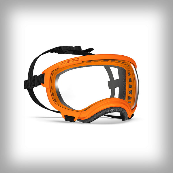 REX SPECS HUNDEBRILLE V2 SMALL