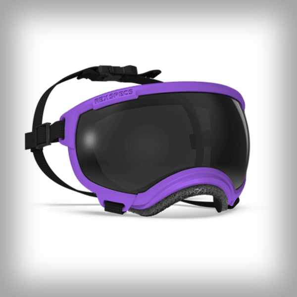 REX SPECS HUNDEBRILLE V2 SMALL