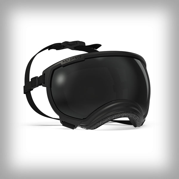 REX SPECS HUNDEBRILLE V2 SMALL