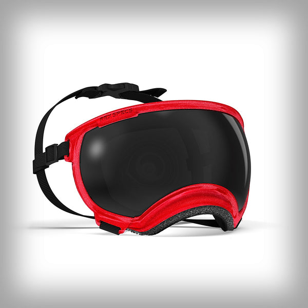 REX SPECS HUNDEBRILLE V2 X-LARGE