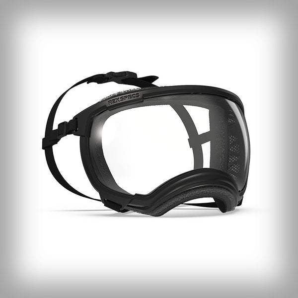 REX SPECS HUNDEBRILLE V2 X-LARGE