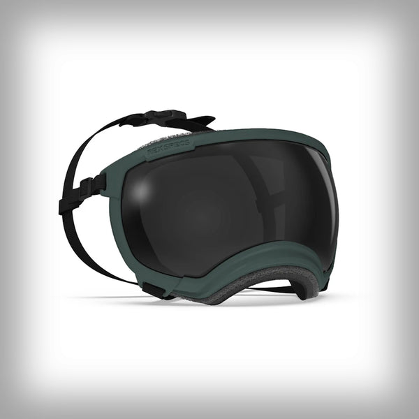 REX SPECS HUNDEBRILLE V2 SMALL