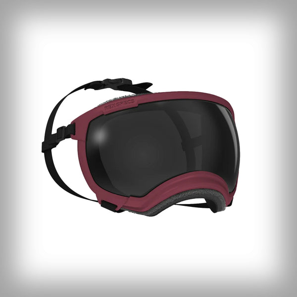REX SPECS HUNDEBRILLE V2 SMALL