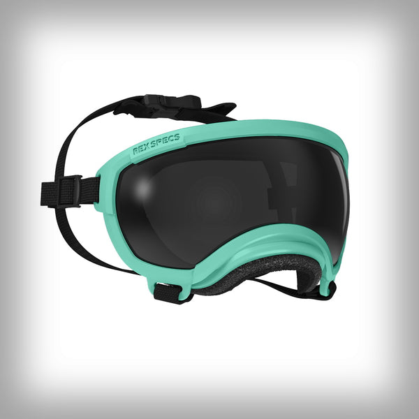 REX SPECS HUNDEBRILLE V2 X-SMALL