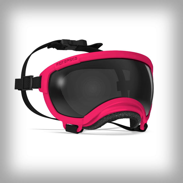 REX SPECS HUNDEBRILLE V2 SMALL