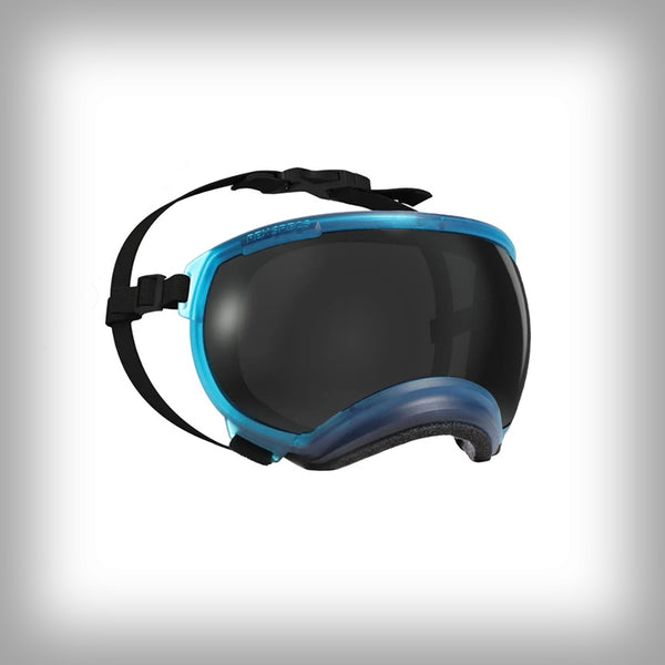 REX SPECS HUNDEBRILLE V2 X-SMALL