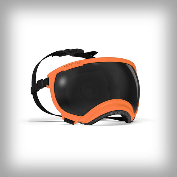 REX SPECS HUNDEBRILLE V2 LARGE