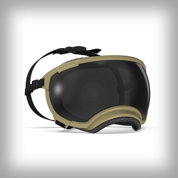 REX SPECS HUNDEBRILLE V2 SMALL