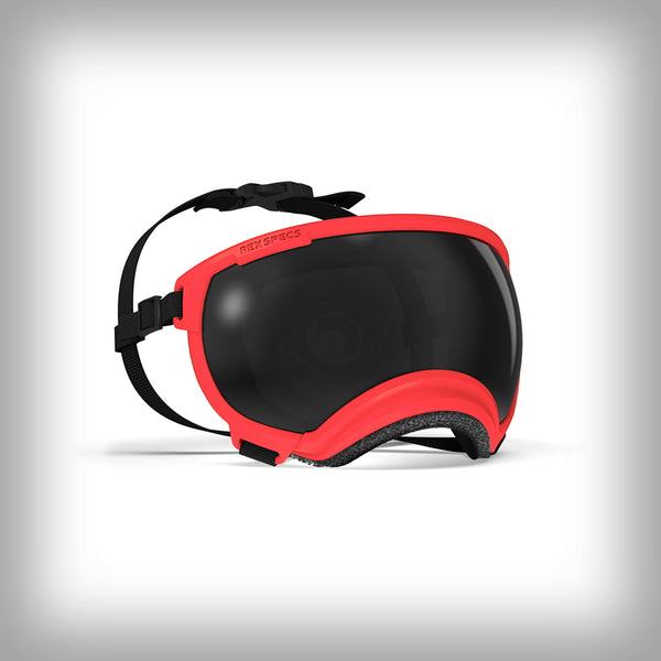 REX SPECS HUNDEBRILLE V2 MEDIUM