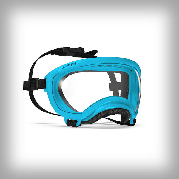 REX SPECS HUNDEBRILLE V2 MEDIUM