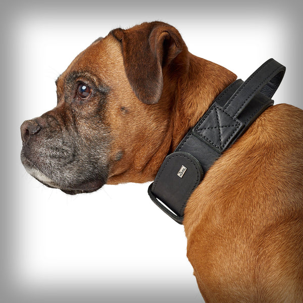 TRAININGSHALSBAND MIT GRIFF LARVIK