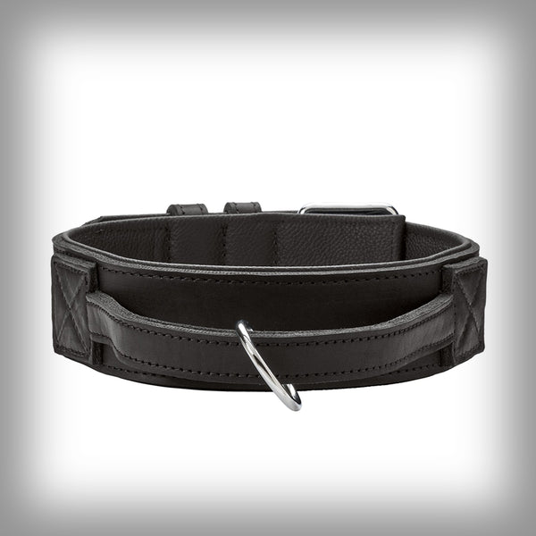 TRAININGSHALSBAND MIT GRIFF LARVIK