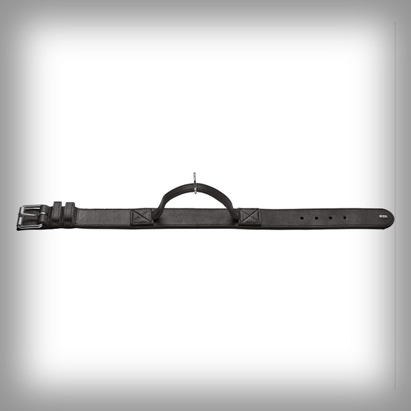 TRAININGSHALSBAND MIT GRIFF LARVIK