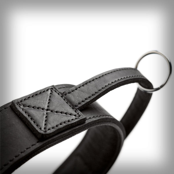 TRAININGSHALSBAND MIT GRIFF LARVIK