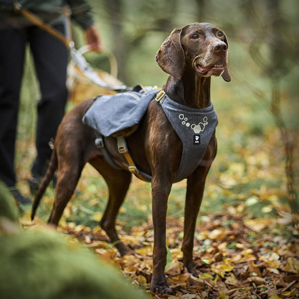 EXPEDITION PACK ECO