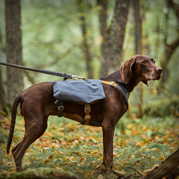 EXPEDITION PACK ECO