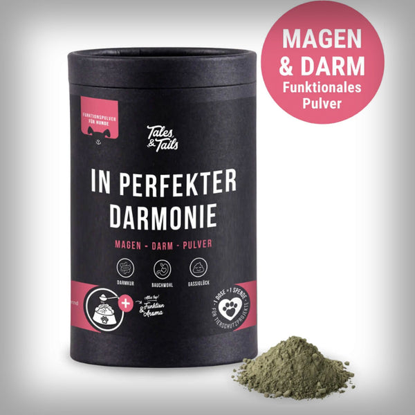 IN PERFEKTER DARMONIE