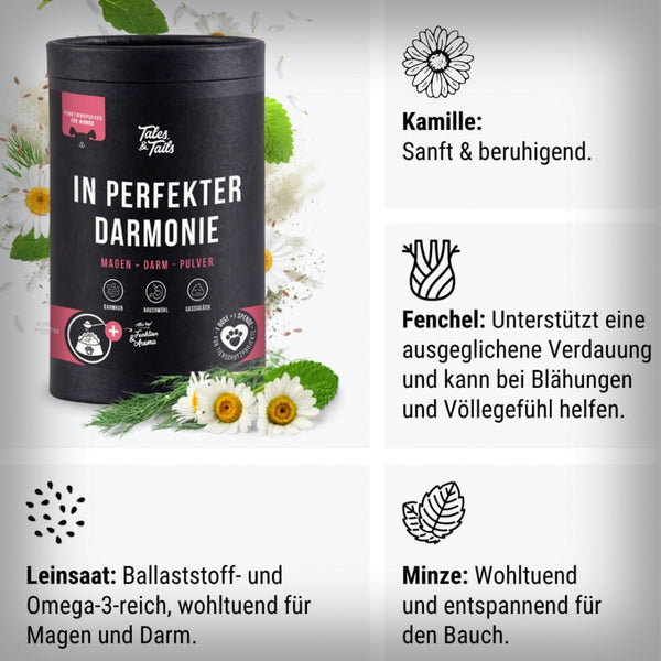 IN PERFEKTER DARMONIE