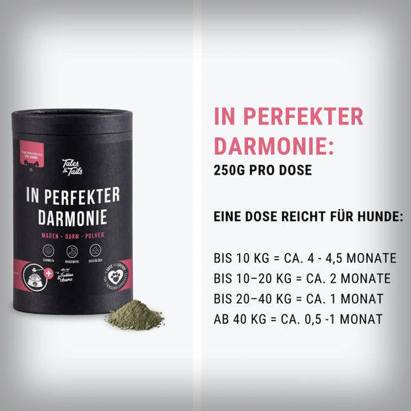 IN PERFEKTER DARMONIE