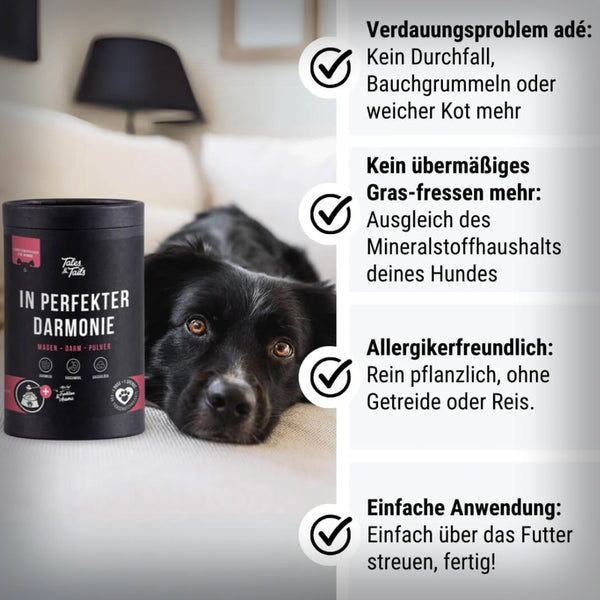 IN PERFEKTER DARMONIE