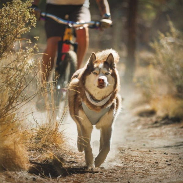 RUFFWEAR KÜHLENDES HALSTUCH