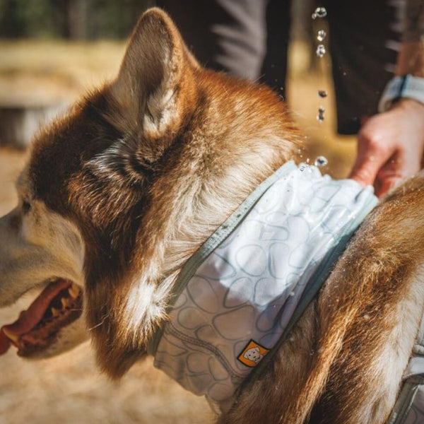 RUFFWEAR KÜHLENDES HALSTUCH