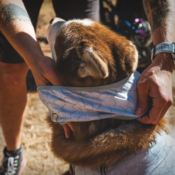 RUFFWEAR KÜHLENDES HALSTUCH