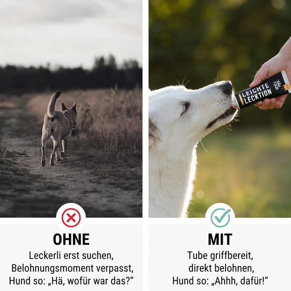 LEICHTE LECKTION PFERD MONOPROTEIN
