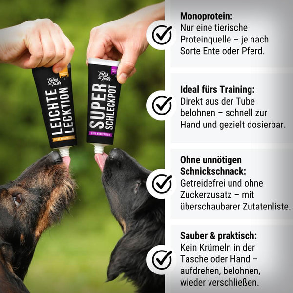 LEICHTE LECKTION PFERD MONOPROTEIN