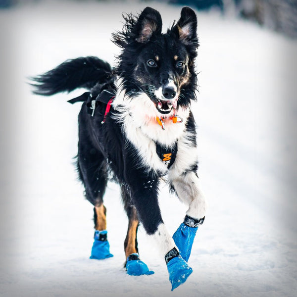 LONG DISTANCE BOOTIES